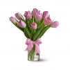 Spring Tulips - Light Pink